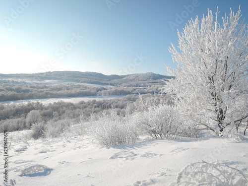 Beautiful winter landscape with forest covered with frost and snow-covered valley