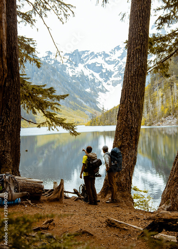 hikers in the Washington forest 