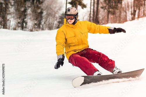 Man snowboarder slides from the mountain in winter day on the forest background.