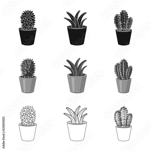 Isolated object of cactus and pot logo. Collection of cactus and cacti stock vector illustration.