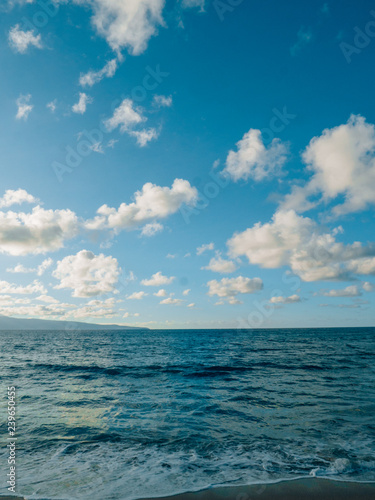 the beautiful sea in hawaii