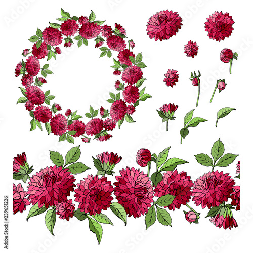 Fototapeta Naklejka Na Ścianę i Meble -  Set of dahlia floral elements isolated on white background, wreath and seamless brush of flowers, vector