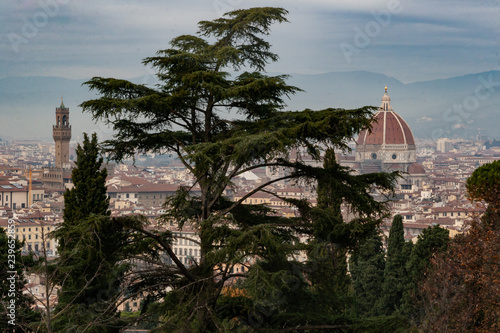 firenze
