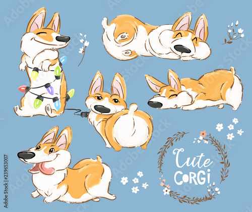 Cute Corgi Dog Puppy Play Vector Set. Funny Fox Pet Character Collection. Awesome Happy Brown Doggy Isolated on Blue Background Flat Cartoon Print Poster