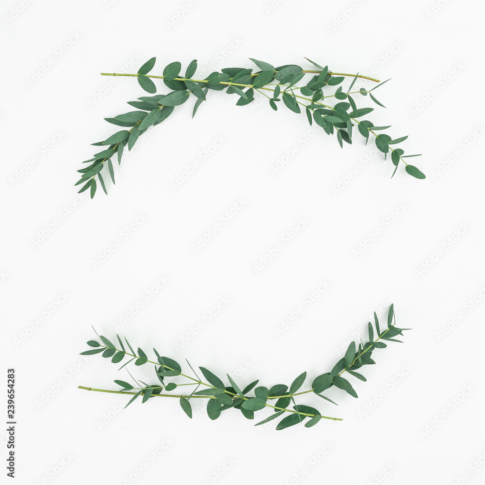 Floral frame made of eucalyptus branches on white background. Flat lay, top view
