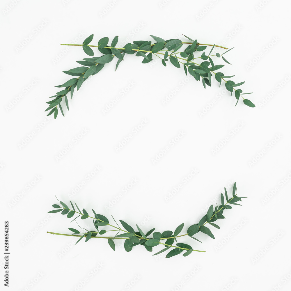 Floral frame made of eucalyptus branches on white background. Flat lay, top view Floral frame made of eucalyptus branches on white background. Flat lay, top view