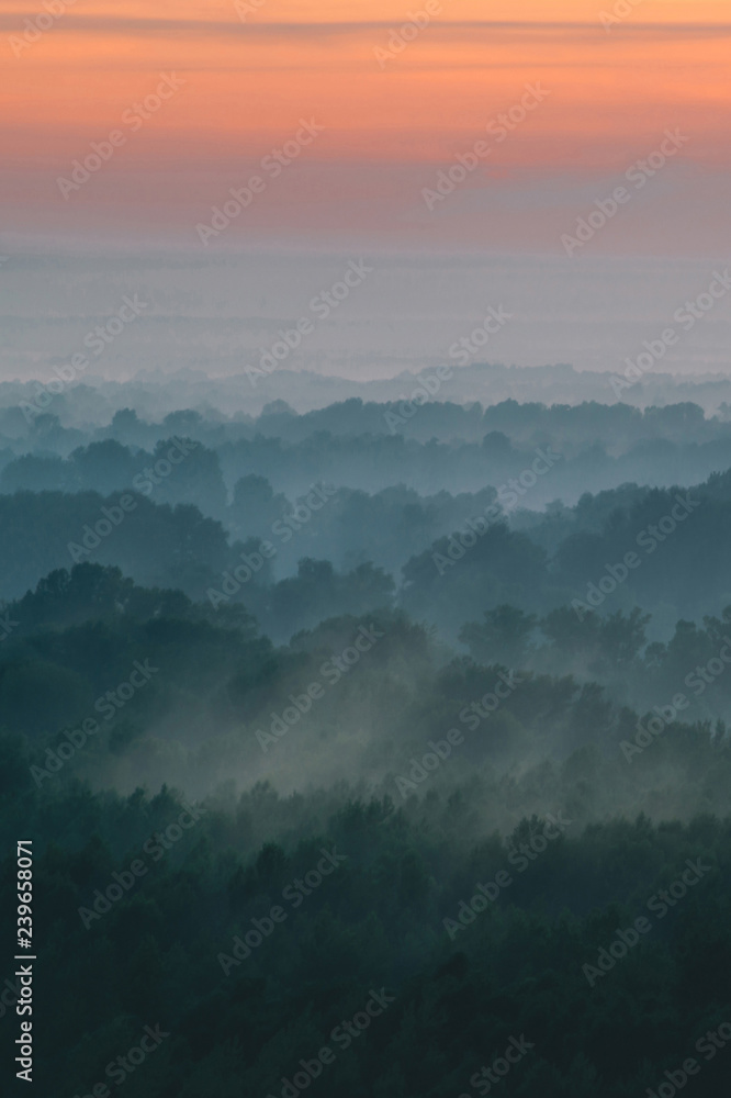 Fototapeta premium Mystical view from top on forest under haze at early morning. Mist among layers from tree silhouettes in taiga under warm predawn sky. Morning atmospheric minimalistic landscape of majestic nature.