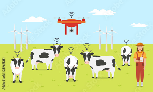 Woman farmer with tablet on a modern dairy farm. Smart farming mobile application