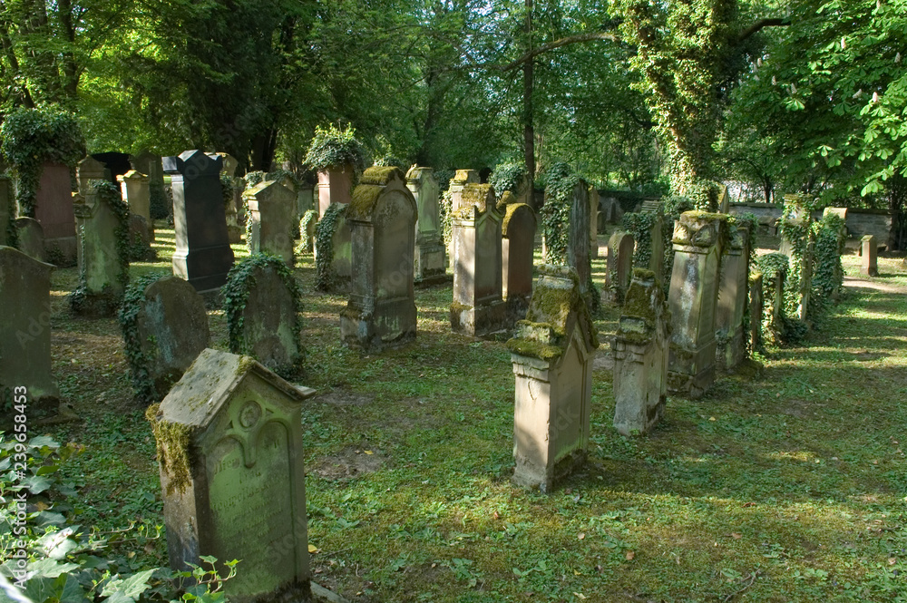 Naklejka premium Jüdischer Friedhof in Heilbronn-Horkheim