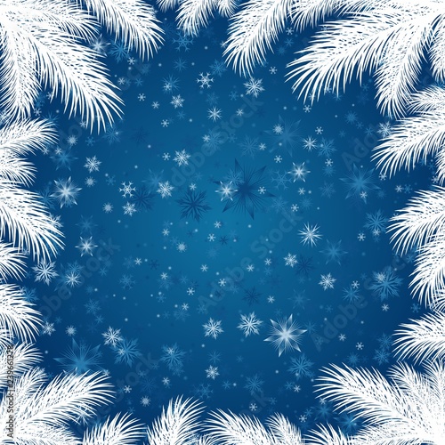 Frame with spruce branches.