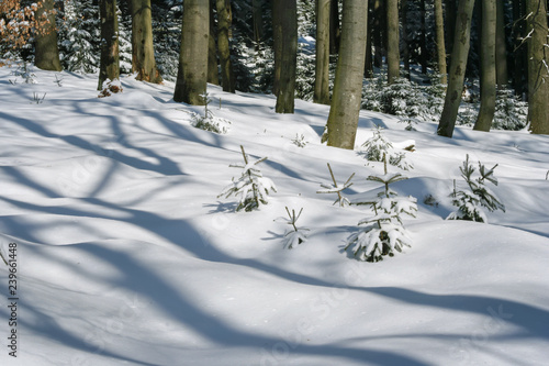 Snow-covered winter landscape in the Taunus, Germany.