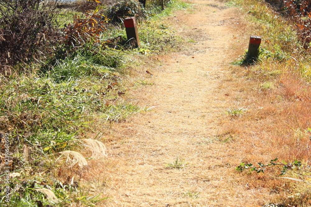 未舗装道路 未舗装道路