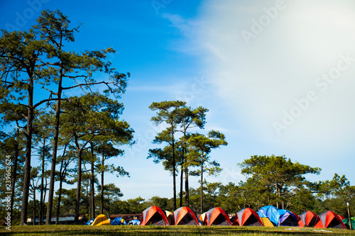 Campsite in the morning at Phukradueng National Park,Loei.