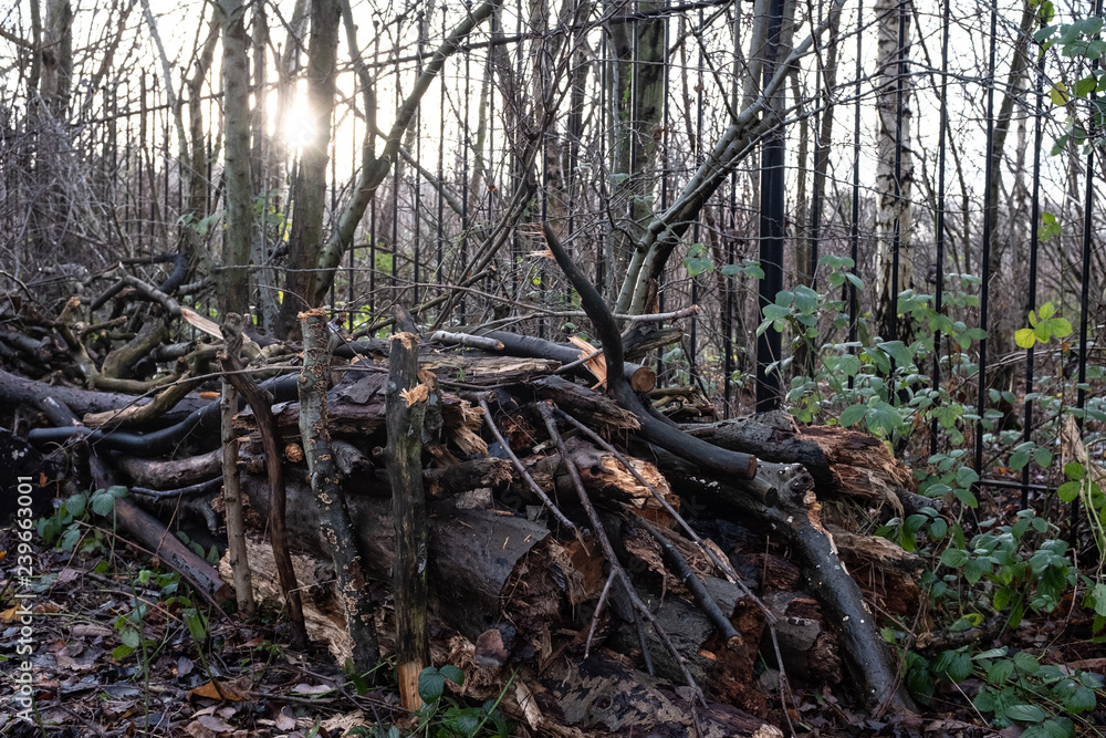 Stack of sticks, logs and branches piled up by railing with sun behind