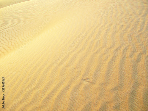Fototapeta Naklejka Na Ścianę i Meble -  Desert Golden Sand Landscape