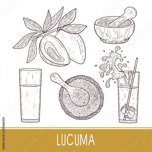 Lucuma. Fruit, leaves. Powder, juice. Super food. Sketch. Set. Monophonic.