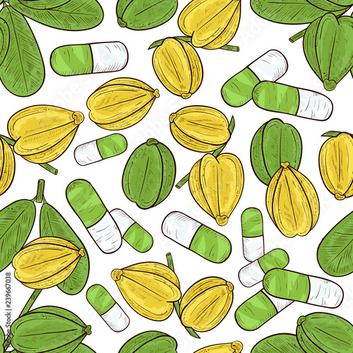 Arjuna. Fruit, leaves, capsule. Seamless, texture, background, wallpaper. Sketch. Color