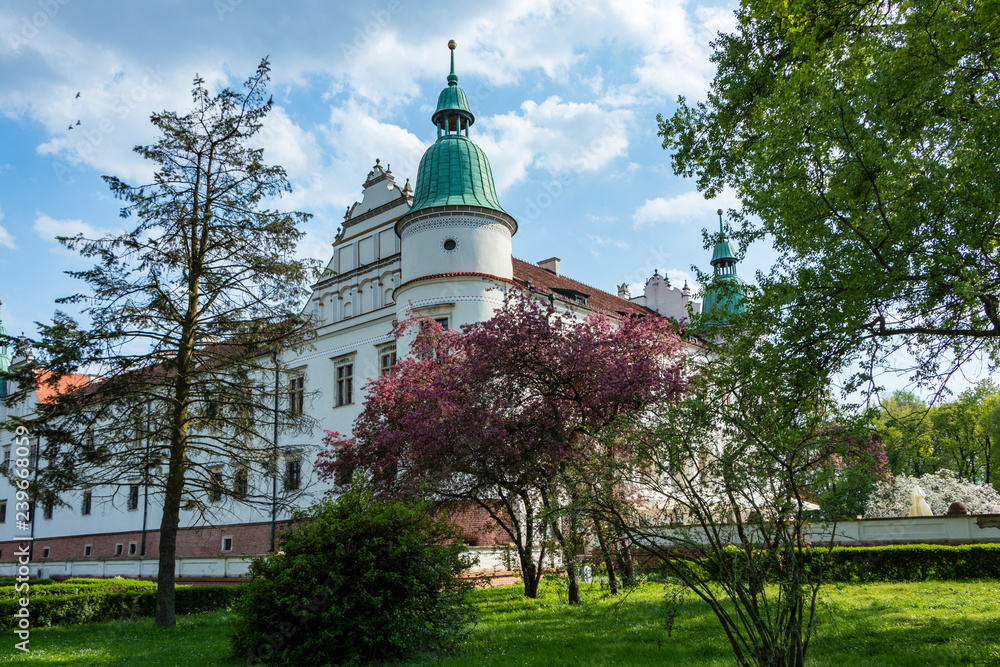 historic palace, Tarnobrzeg, Poland