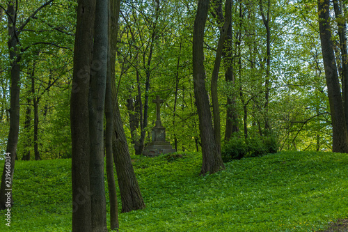 monument among trees in the park, Tarnobrzeg, Poland