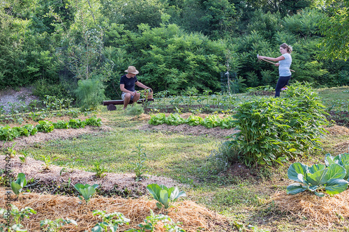 Young man and woman Working in a Home Grown Vegetable Garden