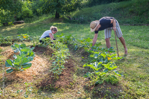Young man and woman Working in a Home Grown Vegetable Garden