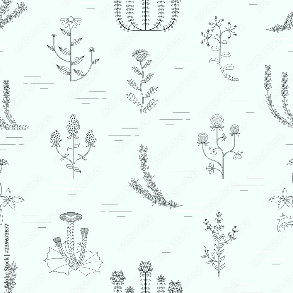 Fototapeta premium Medicinal herbs seamless pattern