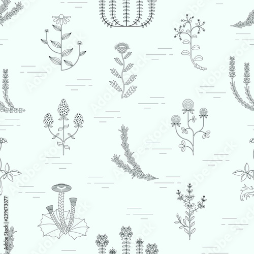 Medicinal herbs seamless pattern