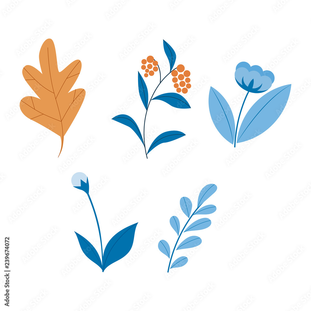 Flat abstract blue, orange leaves and flowers set. Floral elements for summer, spring design. Hand drawn plants for decoration. Vector isolated illustration.