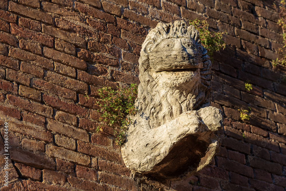 Ancient Lion Statue - Fontebranda Siena Italy