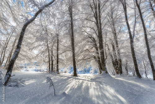 Winter landscape. Uludag, Bursa, Turkey. © Hakan Eliaçık