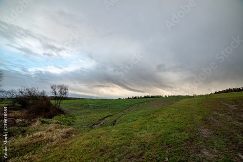 high contrast clouds on blue sky over natural landscape © Martins Vanags