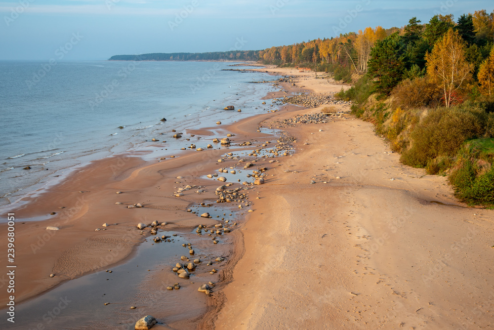 sandy sea beach with rocks and low tide in overcast day