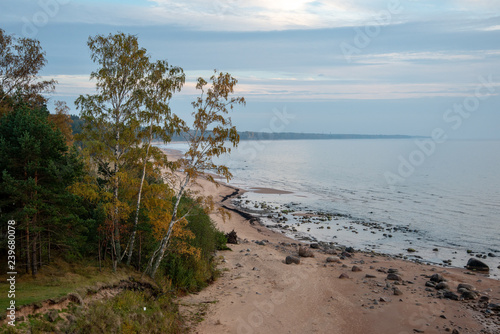 sandy sea beach with rocks and low tide in overcast day