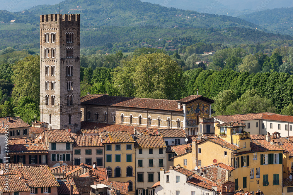 Basilica of San Frediano in Lucca Italy