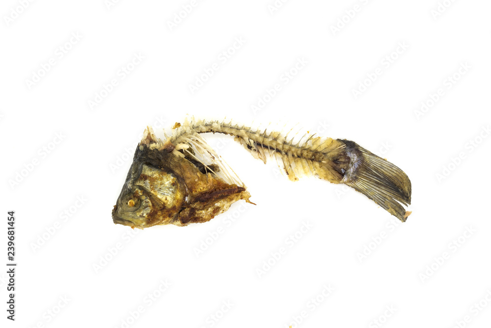 Remains of fried fish on a white background Remains of fried fish on a white background