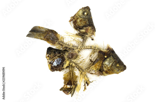 Remains of fried fish on a white background