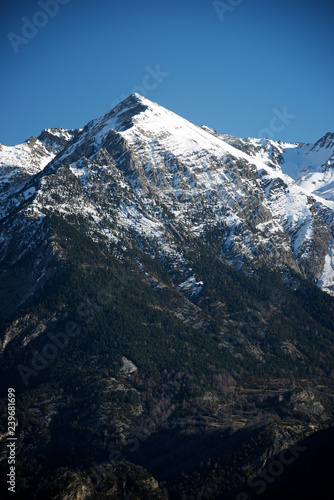 Pyrenees