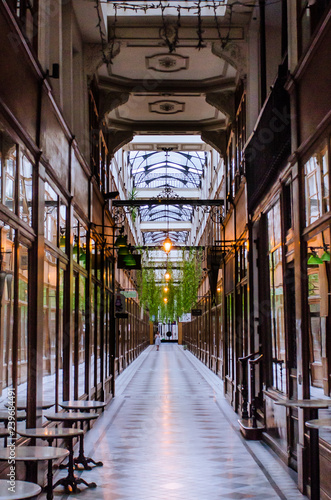 Canvas Print Passage typique de paris
