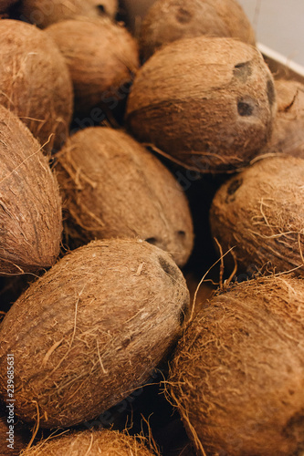Pile of coconuts, tropical fruits background