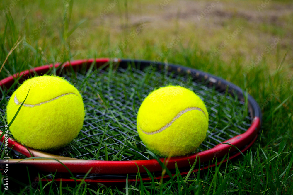 yellow tennis balls with tennis racquet on the green grass