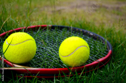 yellow tennis balls with tennis racquet on the green grass