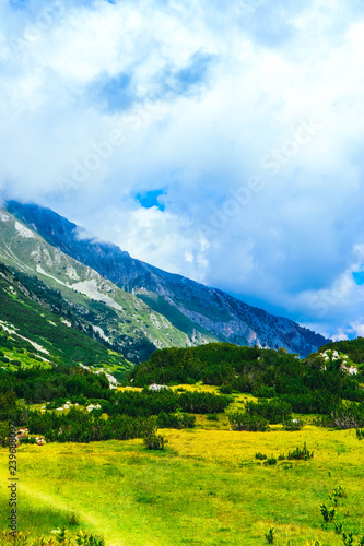 Beautiful alpine high mountains peak, cloudy and foggy. Amazing green hills landscape, summertime.