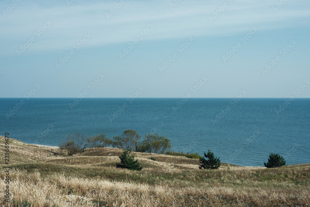 Obraz premium Landscape of the Curonian Spit in the summer