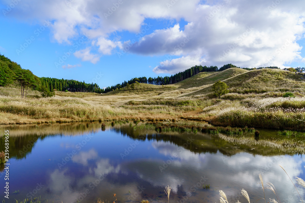 砥峰高原　ススキの草原と池