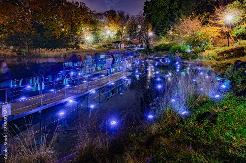 幻想的なライトが浮かぶ池