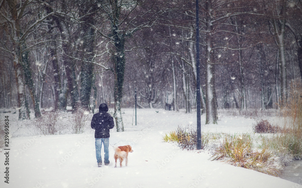 Young man walking in the winter park in snowfall Young man walking in the winter park in snowfall