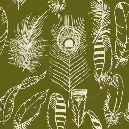 feather seamless pattern hand drawn sketch, peacock, jay
