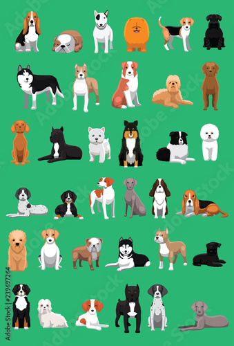 Fotografie, Tablou Various Medium Size Dog Breeds Cartoon Vector Illustration
