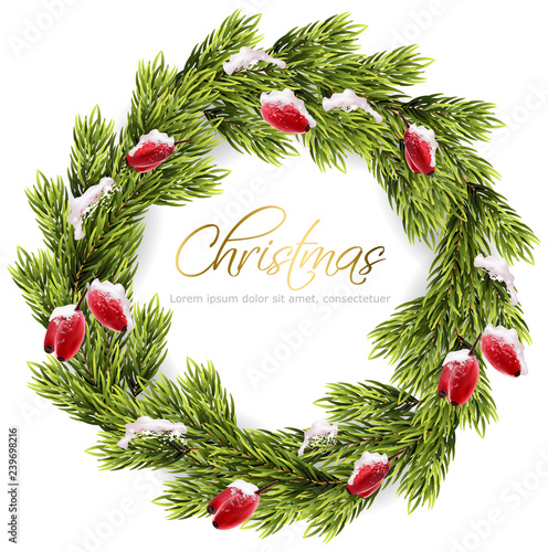 Christmas fir wreath frame Vector. Green fir branches and red eglantine berri...