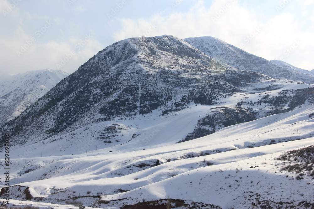 mountains in winter